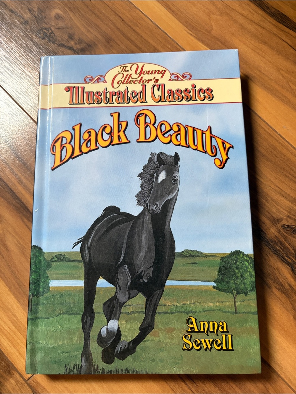 : Black Beauty - Blue Cover